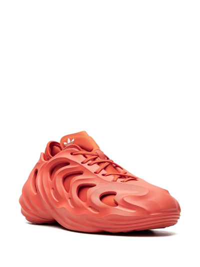 Shop Adidas Originals Adifom Q Sneakers In Red