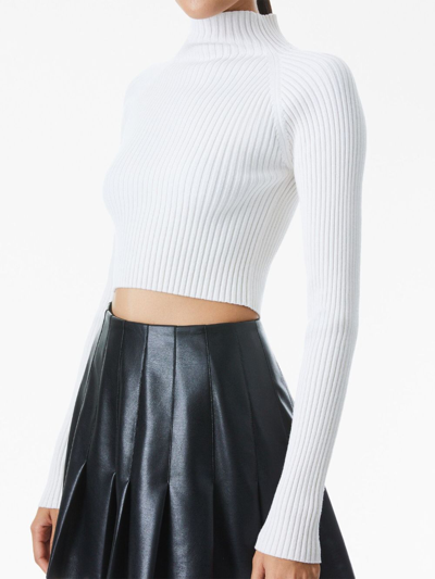 Shop Alice And Olivia High-waisted Pleated Miniskirt In Black