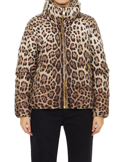 Shop Dolce & Gabbana Leopard Print Down Jacket In Multi