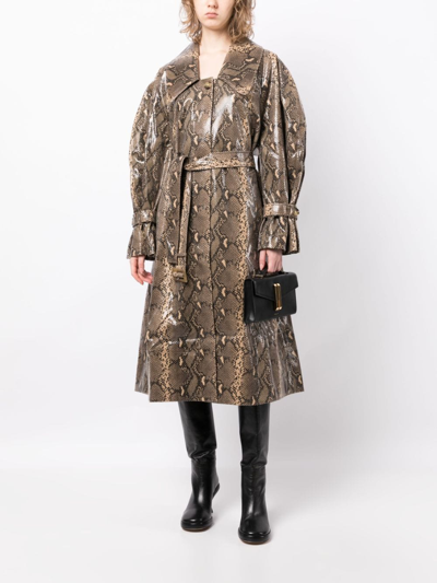 Shop Rejina Pyo Snakeprint-effect Belted-waist Coat In Brown