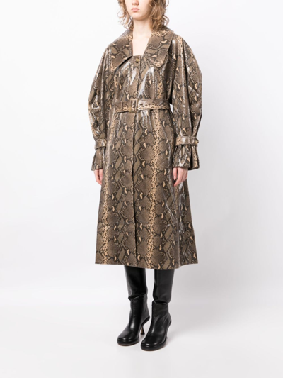 Shop Rejina Pyo Snakeprint-effect Belted-waist Coat In Brown