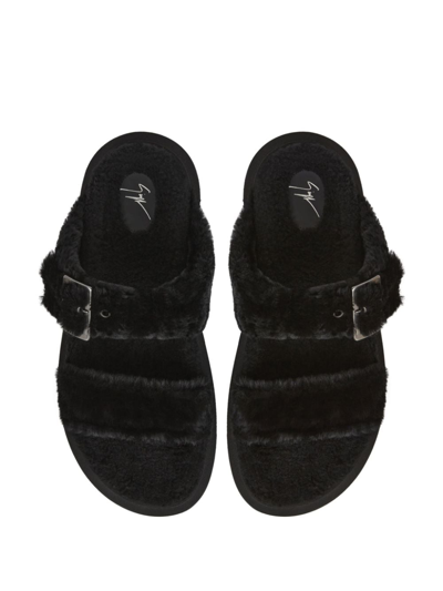 Giuseppe Zanotti Furry Buckled Sheepskin Slides In Schwarz
