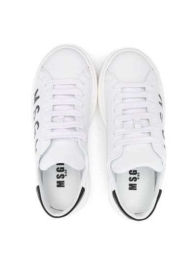 Shop Msgm Logo-print Low-top Sneakers In White