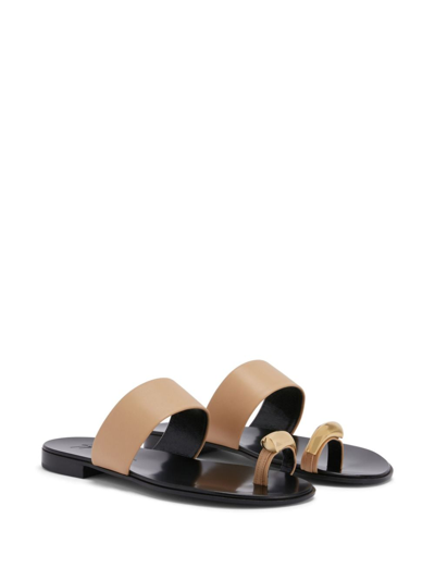 Shop Giuseppe Zanotti Norbert Slip-on Slides In Brown