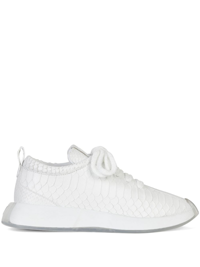 Shop Giuseppe Zanotti Ferox Leather Sneakers In White