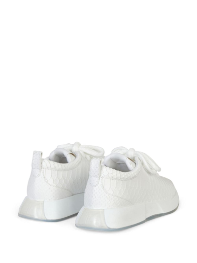 Shop Giuseppe Zanotti Ferox Leather Sneakers In White