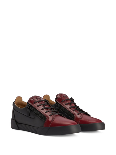 Shop Giuseppe Zanotti Frankie Two-tone Leather Sneakers In Black