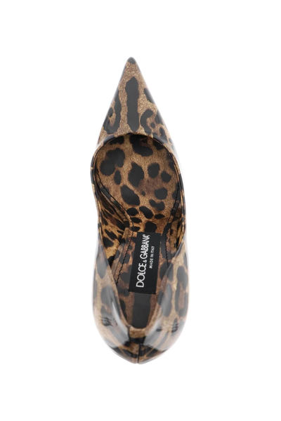 Shop Dolce & Gabbana Animal-print Pumps In Brown,black