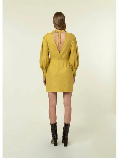 Shop Frnch Francoise Dress In Moutarde In Yellow