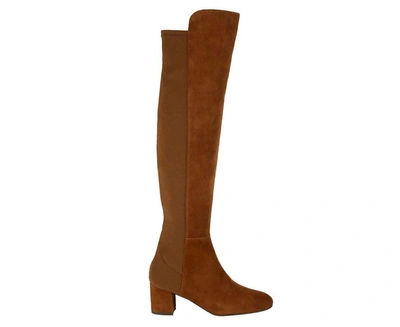 Shop Stuart Weitzman Women's Suede Heel Knee High Boots In Multi