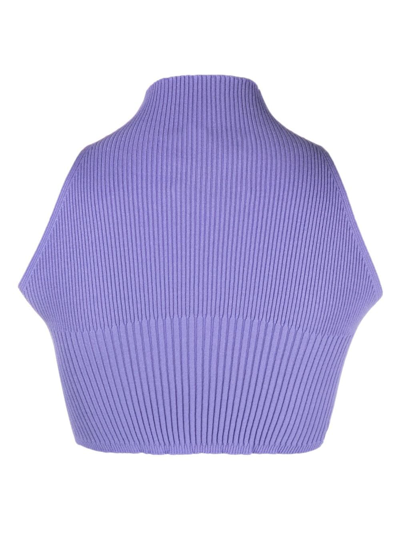 Shop Aeron Knitted Crop Top In Purple