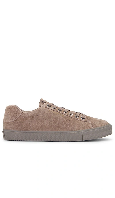 Shop Allsaints Brody Low Top Sneaker In Taupe