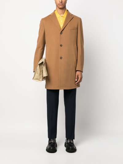 Shop Tagliatore Single-breasted Wool-blend Coat In Brown