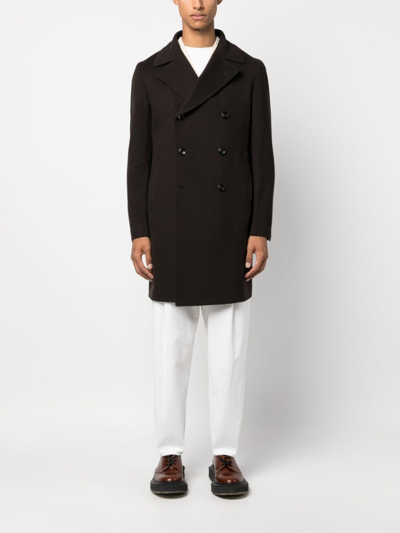 Shop Tagliatore Arden Wool-blend Coat In Brown