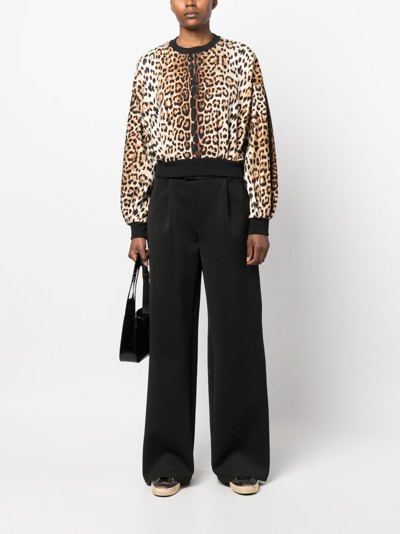 Shop Roberto Cavalli Leopard-print Cropped Sweatshirt In Neutrals