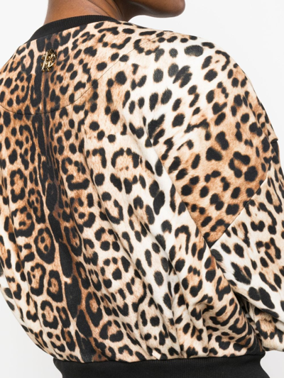 Shop Roberto Cavalli Leopard-print Cropped Sweatshirt In Neutrals