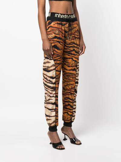 Shop Roberto Cavalli Zebra-print Track Pants In Orange