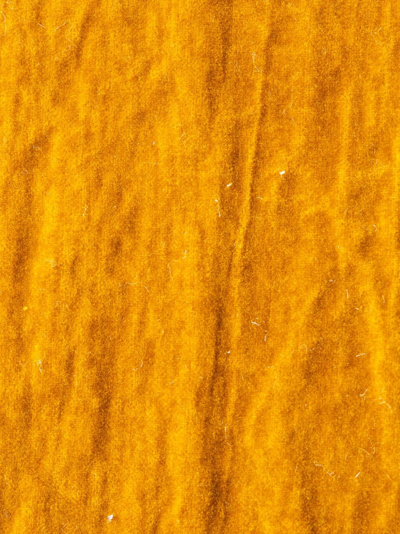 The House Of Lyria Lonicera Velvet Cushion In Yellow