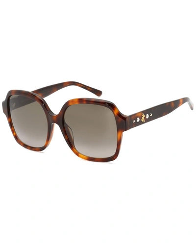 Shop Jimmy Choo Women's Rella/g/s 55mm Sunglasses In Brown