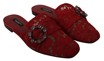 Shop Dolce & Gabbana Lace Crystal Slide On Flats Women's Shoes In Red