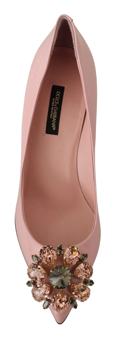 Shop Dolce & Gabbana Leather Crystal Heels Pumps Heels Women's Shoes In Pink
