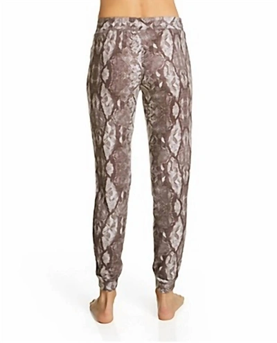 Shop Pj Salvage Snake Bite Feather Knit Jogger In Cocoa In Brown