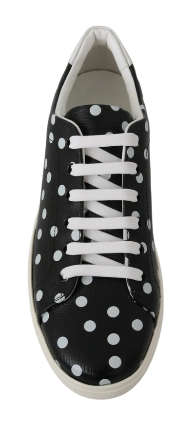 Shop Dolce & Gabbana Leather Polka Dots Sneakers Women's Shoes In Black
