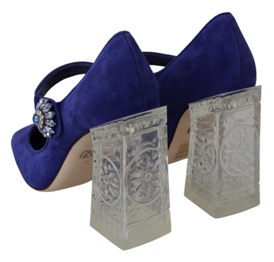 Shop Dolce & Gabbana Suede Crystal Pumps Heels Women's Shoes In Purple