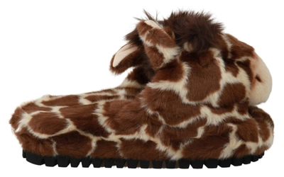 Shop Dolce & Gabbana Giraffe Slippers Flats Sandals Women's Shoes In Brown