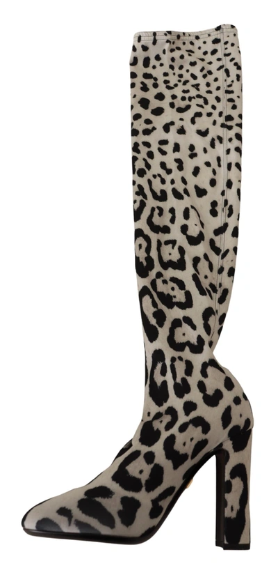Shop Dolce & Gabbana Leopard Stretch Long Women's Boots In Multi