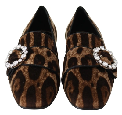 Shop Dolce & Gabbana Leopard Print Crystals Loafers Flats Women's Shoes In Brown