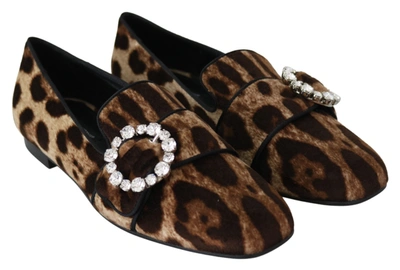 Shop Dolce & Gabbana Leopard Print Crystals Loafers Flats Women's Shoes In Brown