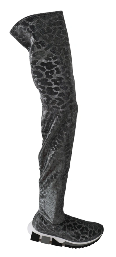 Shop Dolce & Gabbana Leopard High Top Sneakers Booties Women's Shoes In Grey
