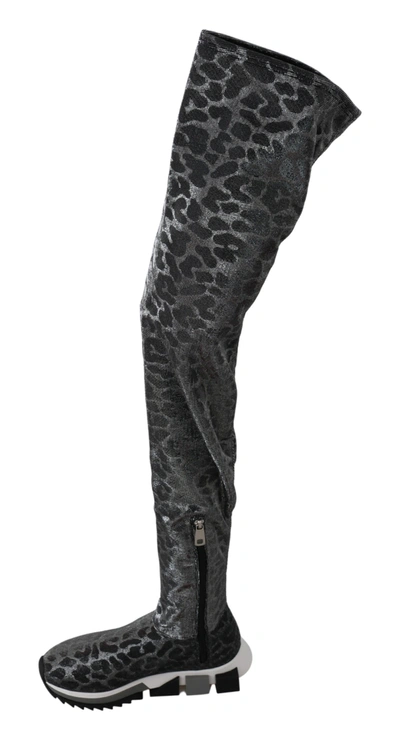Shop Dolce & Gabbana Leopard High Top Sneakers Booties Women's Shoes In Grey