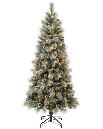 Shop First Traditions Perry Hard Needle, Mixed Pine Tree With White Sprayed Tips & 200 Clear Lights In Green