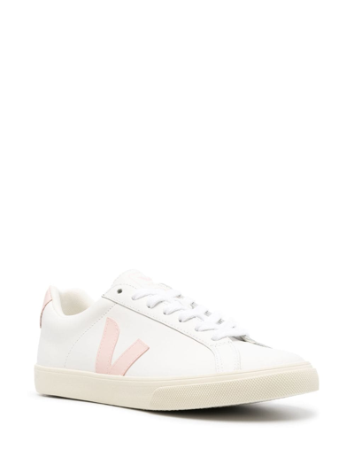 Shop Veja Campo Chromefree Leather Sneakers In White