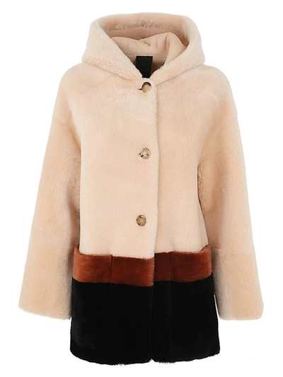 Shop Blancha Shearling Coat. Clothing In Brown