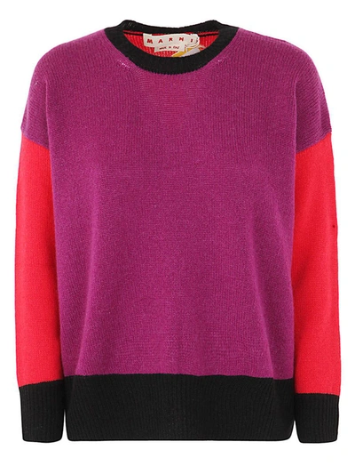 Shop Marni Roundneck Sweater Clothing In Pink &amp; Purple