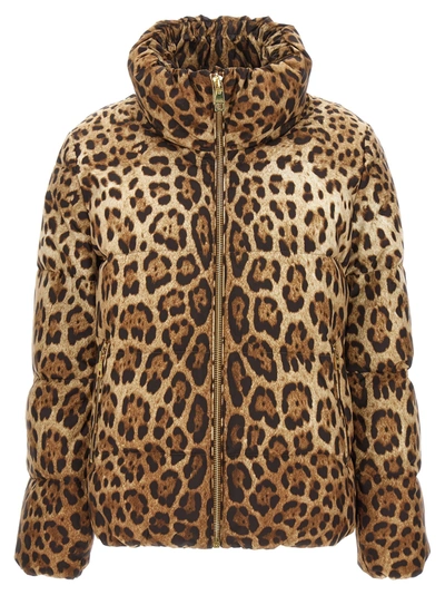 Shop Dolce & Gabbana Animalier Down Jacket Casual Jackets, Parka Multicolor