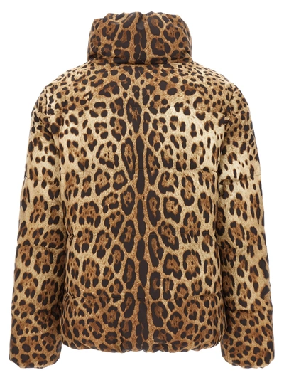 Shop Dolce & Gabbana Animalier Down Jacket Casual Jackets, Parka Multicolor