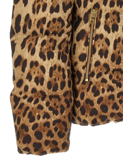 Shop Dolce & Gabbana Animalier Down Jacket Casual Jackets, Parka Multicolor