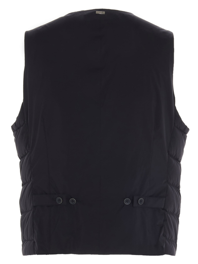 Shop Herno Vest In /blue