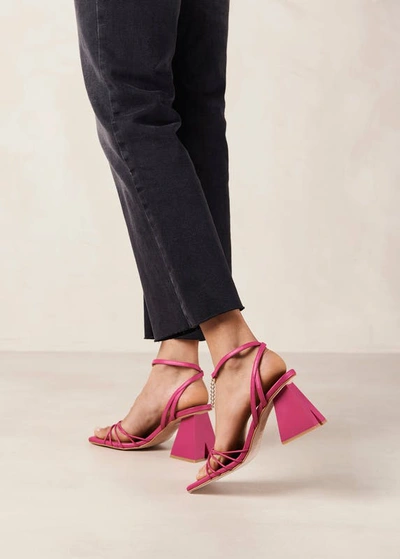 Shop Alohas Cactus Leather Sandal In Pink