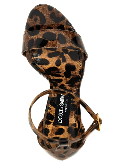 Shop Dolce & Gabbana Animal-print With Logo Heel Sandals In Multicolor