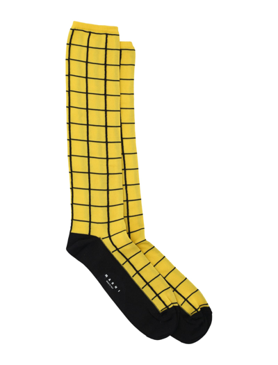 Shop Marni Socks Check In Yellow Check