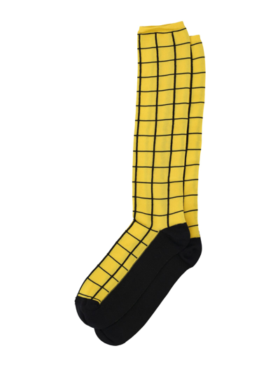 Shop Marni Socks Check In Yellow Check