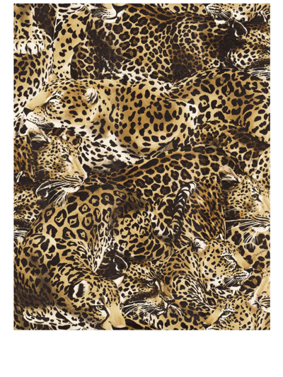 Shop Dolce & Gabbana Leopard-print Wallpaper In Brown