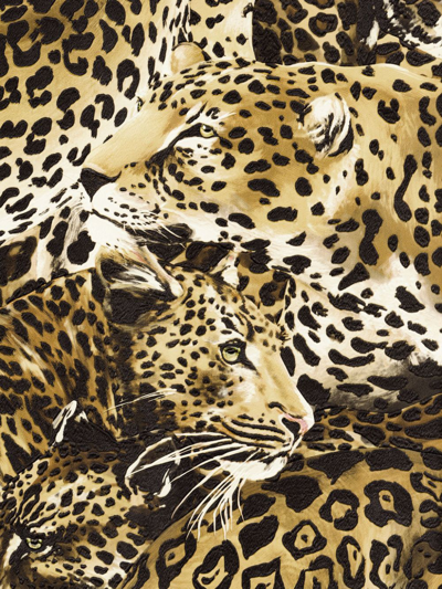 Shop Dolce & Gabbana Leopard-print Wallpaper In Brown