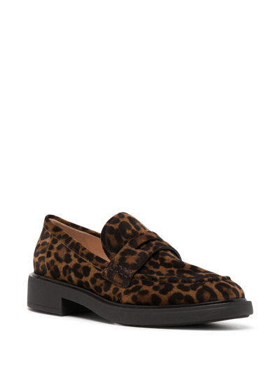 Shop Gianvito Rossi 30mm Leopard-print Suede Loafers In Brown
