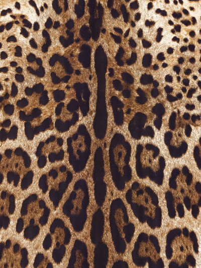 Shop Dolce & Gabbana Leopard-print Wallpaper In Brown